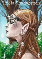 The Elven Beauty